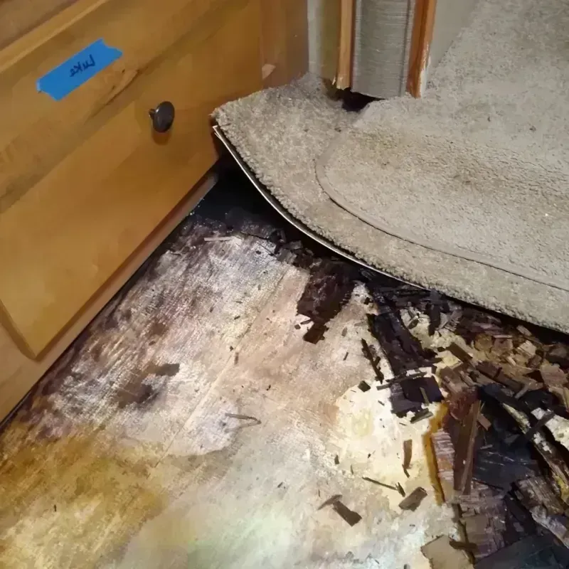 Wood Floor Water Damage in River Grove, IL